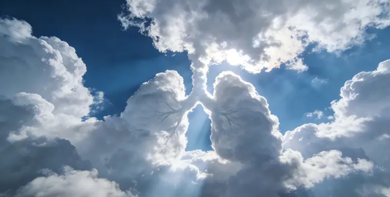 衡阳肺癌12基因ctDNA突变检测(血液）图片1