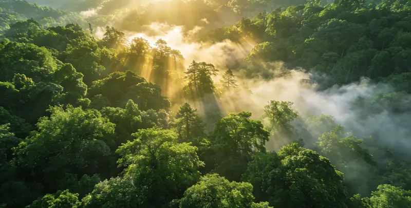 衡阳肺癌68基因检测图片1