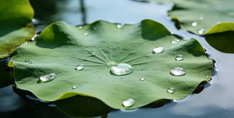 衡阳乳腺癌21基因mRNA表达分析图片1